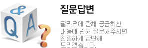 팔라우 질문과 답변으로