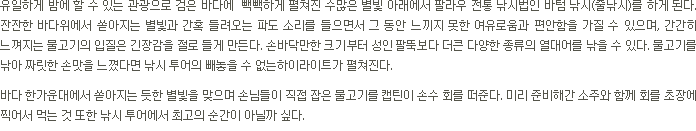 별빛낚시 투어 소개(텍스트)