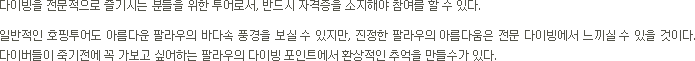 펀다이빙 소개(텍스트)