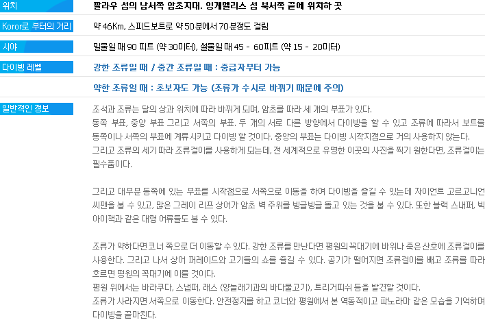 블루코너 내용(텍스트)